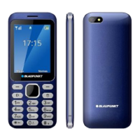 Preview: Blaupunkt FL 02