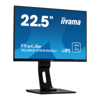 Preview: Iiyama ProLite XUB2395WSU-B1