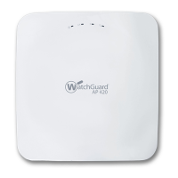 Preview: Watchguard AP420