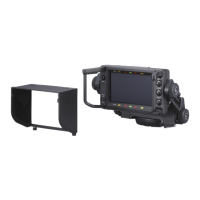 Preview: Sony HDVF-EL70