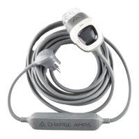 Preview: Charge Amps RAY