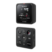 Preview: Sony ICD-TX800