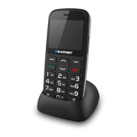 Preview: Blaupunkt BS 02