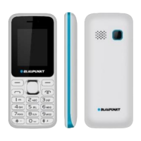 Preview: Blaupunkt FS 03