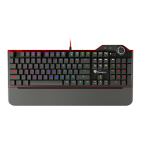 Preview: Genesis RX85 RGB