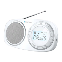 Preview: Blaupunkt BSD-9000