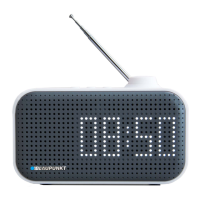 Preview: Blaupunkt PP11BT