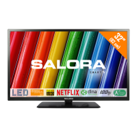 Preview: Salora 32WSF6002