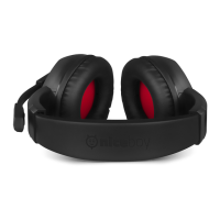 Preview: Niceboy ORYX X300