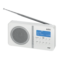 Preview: AEG DAB 4138