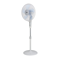 Preview: Beko EFS5100W