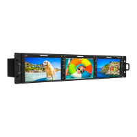Preview: TVLogic R-5T
