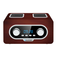 Preview: Blaupunkt PP5.2