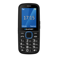 Preview: Blaupunkt BS 04