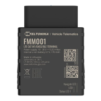 Preview: Teltonika FMM001