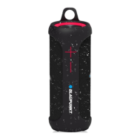 Preview: Blaupunkt BT22TWS