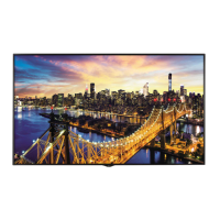 Preview: LG 98LS95D