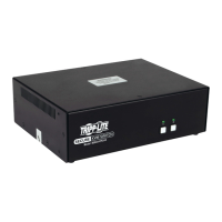Preview: Tripp Lite B002A-DP2A2
