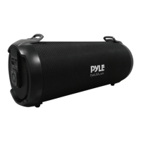 Preview: Pyle PBMSPG2BK