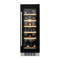 Preview: AEG SWB63001DG