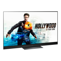 Preview: Panasonic TX-55HZW2004