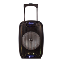 Preview: N-Gear THE FLASH 810