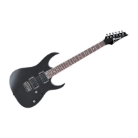 Preview: Ibanez Electric Guitar