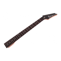 Preview: Ibanez NECK