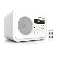 Preview: THOMSON RT300