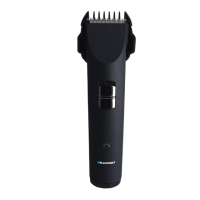 Preview: Blaupunkt HCS201