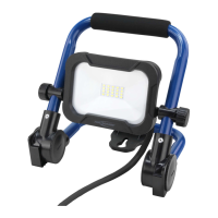 Preview: ANSMANN FL800AC