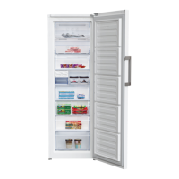 Preview: Beko RFNE312E43WN