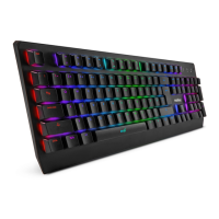 Preview: Niceboy ORYX K610 CHAMELEON