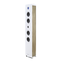 Preview: THOMSON DS301