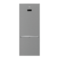 Preview: Beko RCNE520E40LZX