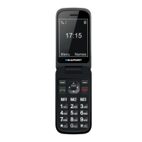 Preview: Blaupunkt BS 06