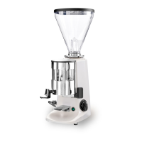 Preview: Mazzer Mini