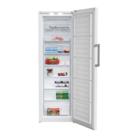 Preview: Beko RFNE312E33WN