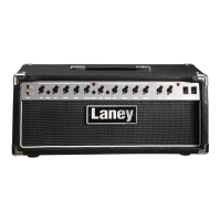 Preview: Laney LH50