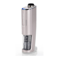 Preview: Cuisinart RWO100U