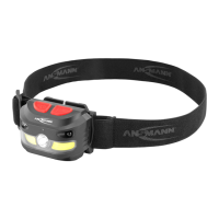 Preview: ANSMANN HD250RS