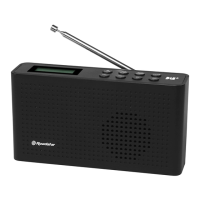 Preview: Roadstar TRA-130D+