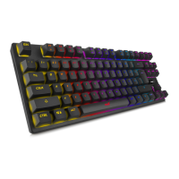 Preview: Niceboy ORYX K300X