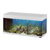 Aquariums Logo