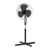 Fan Logo