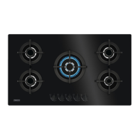 Preview: Zanussi ZGO98520BA