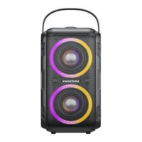 Preview: Swisstone BX 840 TWS