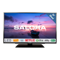 Preview: Salora 24HSB6502