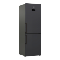 Preview: Beko RCNE366E30ZXB