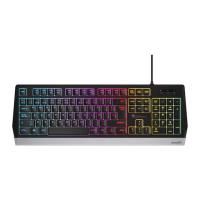 Preview: Genesis Rhod 300 RGB